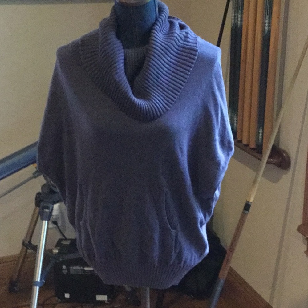 Cute fun no arm sweater